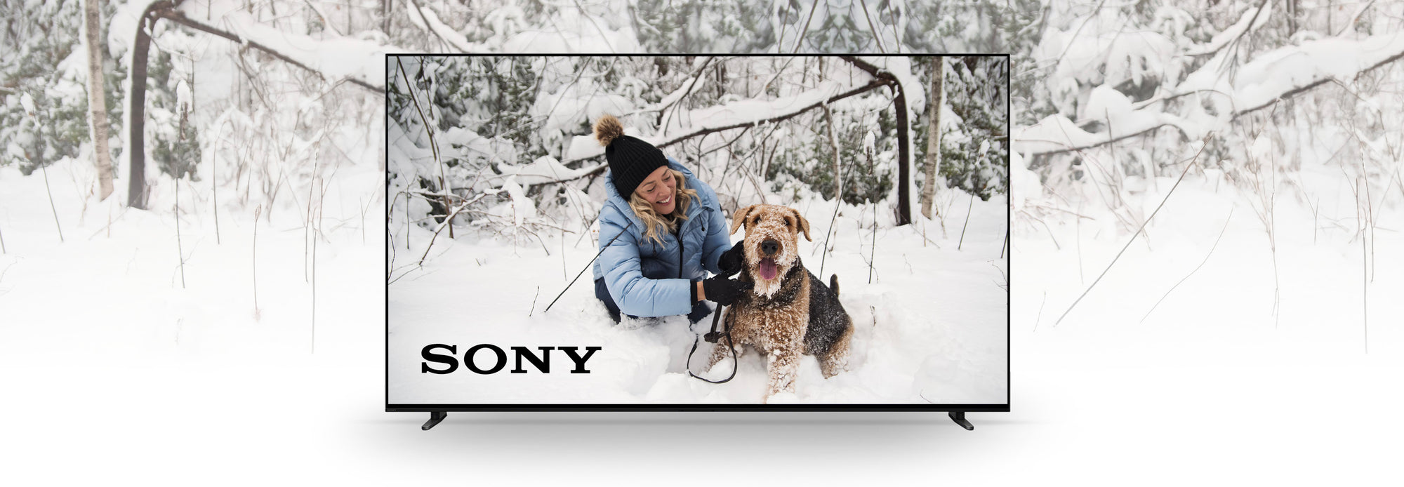 Sony | SONXPLUS Joliette