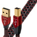 Audioquest Cinnamon | USB A to USB B Cable - USB 2.0 Version - 1.25% Solid Silver Conductor - 0.75 Meters-Sonxplus Joliette