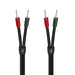 Audioquest Rocket 22 | Speaker Cable - 8 feet - BFAS-Sonxplus Joliette